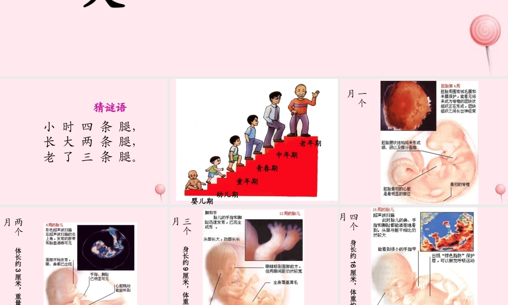 四年级科学下册 第四单元 生长与变化 第16课《我在长大》课件1 冀教版-冀教版小学四年级下册自然科学课件