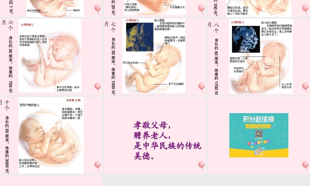 四年级科学下册 第四单元 生长与变化 第16课《我在长大》课件1 冀教版-冀教版小学四年级下册自然科学课件
