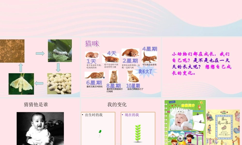 四年级科学下册 第四单元 生长与变化 第16课《我在长大》课件2 冀教版-冀教版小学四年级下册自然科学课件