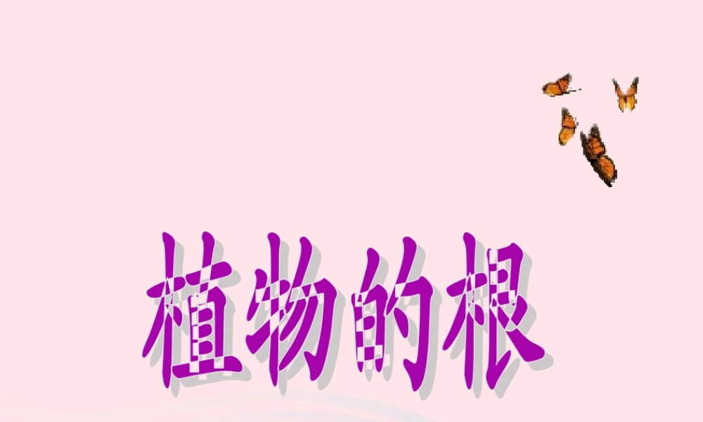 四年级科学上册 第一单元 植物的生活 第2课《植物的根》课件（2） 青岛版五四制-青岛版小学四年级上册自然科学课件