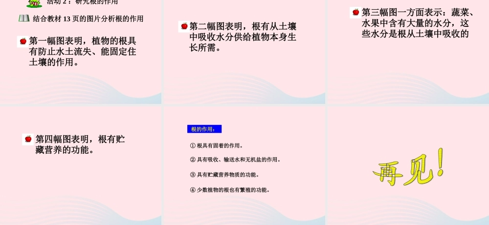 四年级科学上册 第一单元 植物的生活 第2课《植物的根》课件（2） 青岛版五四制-青岛版小学四年级上册自然科学课件
