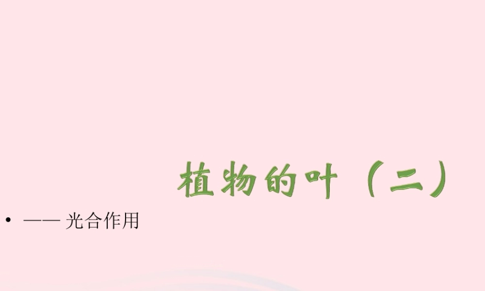 四年级科学上册 第一单元 植物的生活 第3课《植物的叶》课件（2） 青岛版五四制-青岛版小学四年级上册自然科学课件