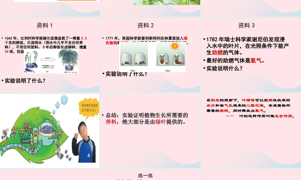 四年级科学上册 第一单元 植物的生活 第3课《植物的叶》课件（2） 青岛版五四制-青岛版小学四年级上册自然科学课件