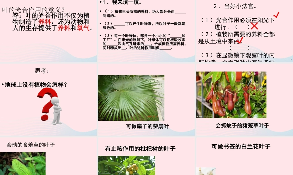 四年级科学上册 第一单元 植物的生活 第3课《植物的叶》课件（2） 青岛版五四制-青岛版小学四年级上册自然科学课件