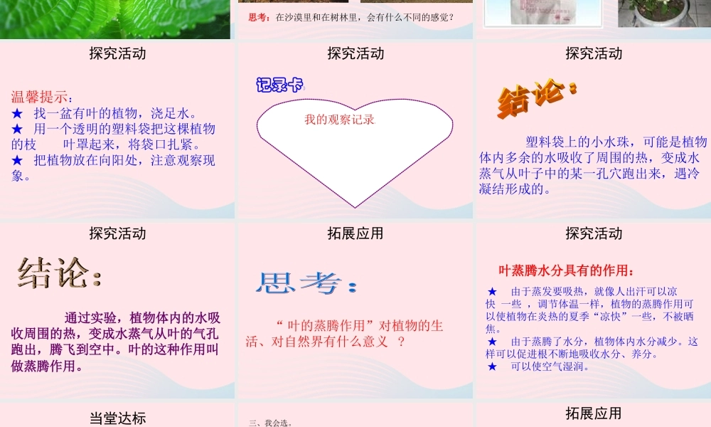 四年级科学上册 第一单元 植物的生活 第3课《植物的叶》课件（3） 青岛版五四制-青岛版小学四年级上册自然科学课件