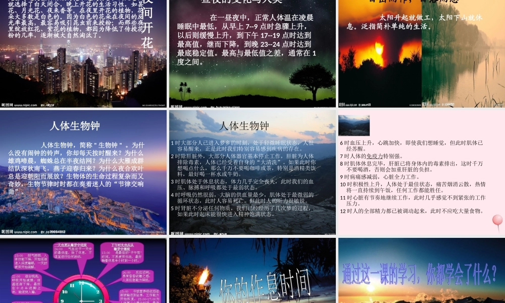 四年级科学下册 第五单元 太阳、地球和月亮 第21课《昼夜与生物》课件1 青岛版五四制-青岛版小学四年级下册自然科学课件