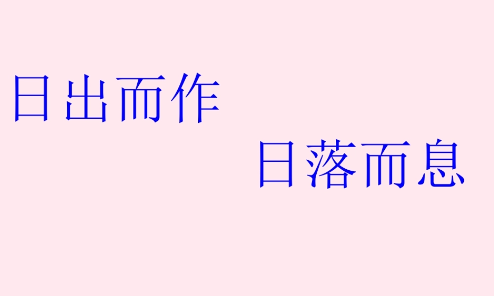 四年级科学下册 第五单元 太阳、地球和月亮 第21课《昼夜与生物》课件2 青岛版五四制-青岛版小学四年级下册自然科学课件