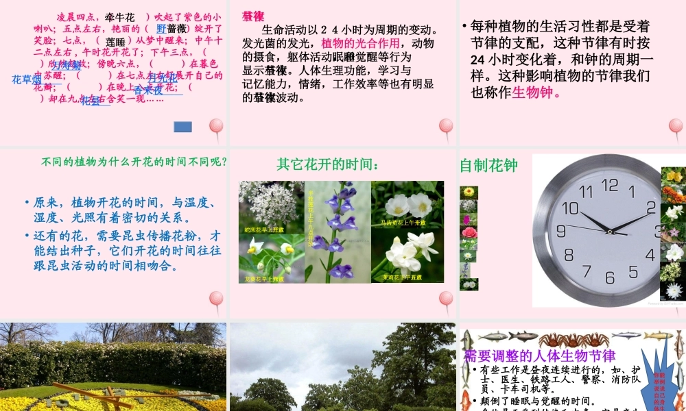 四年级科学下册 第五单元 太阳、地球和月亮 第21课《昼夜与生物》课件2 青岛版五四制-青岛版小学四年级下册自然科学课件