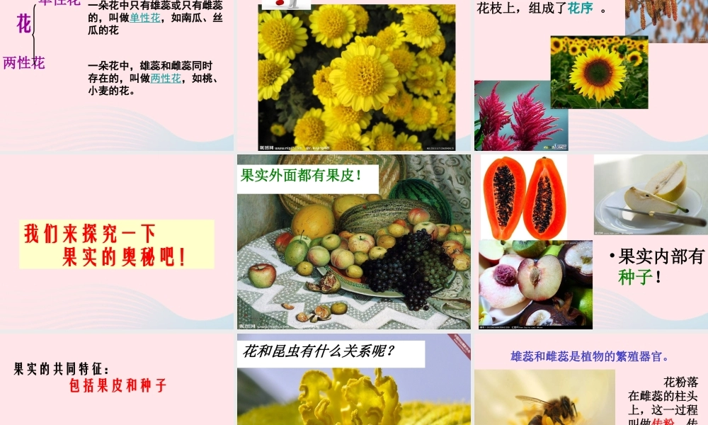 四年级科学上册 第一单元 植物的生活 第5课《植物的花和果实》课件（1） 青岛版五四制-青岛版小学四年级上册自然科学课件