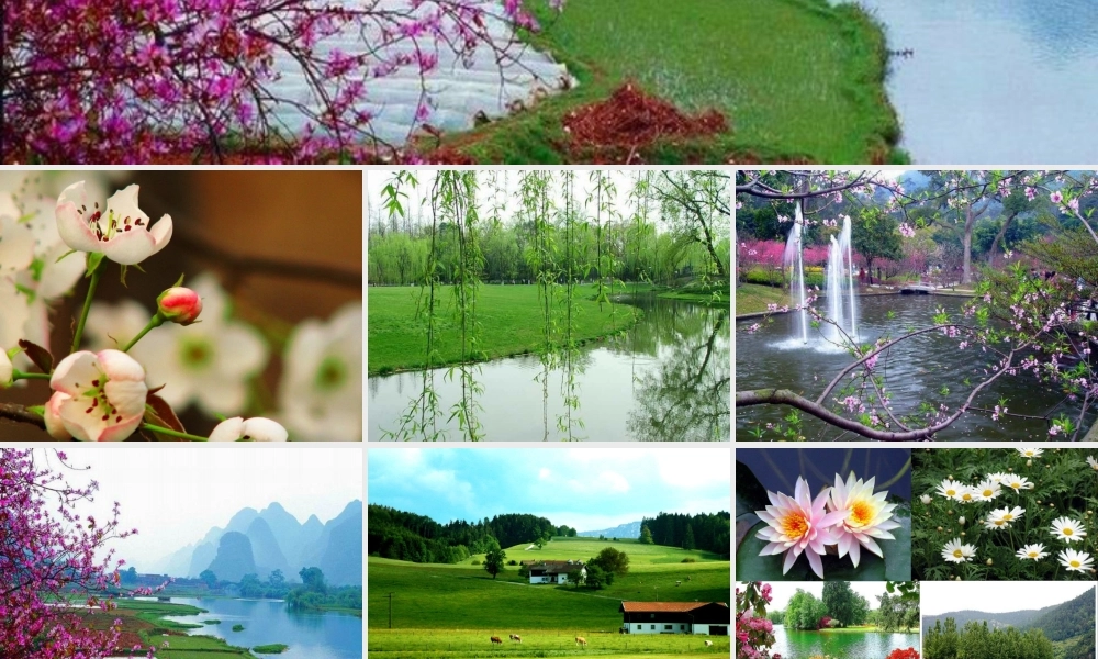 四年级科学下册 第五单元 太阳、地球和月亮 第22课《四季更替》课件1 青岛版五四制-青岛版小学四年级下册自然科学课件