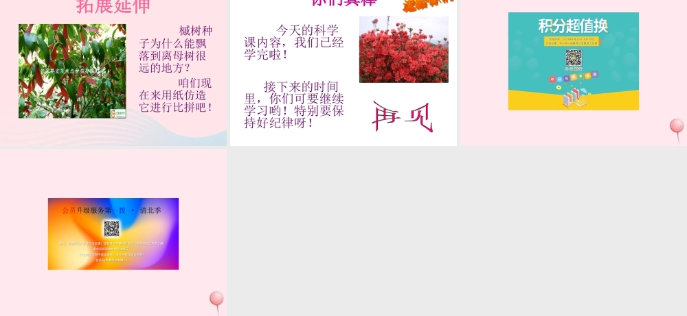 四年级科学下册 3.4《它是怎样运动的》课件1 湘教版-湘教版小学四年级下册自然科学课件