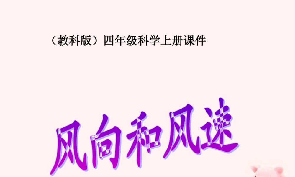 四年级科学上册 风向和风速 1课件 教科版