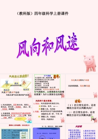 四年级科学上册 风向和风速 1课件 教科版