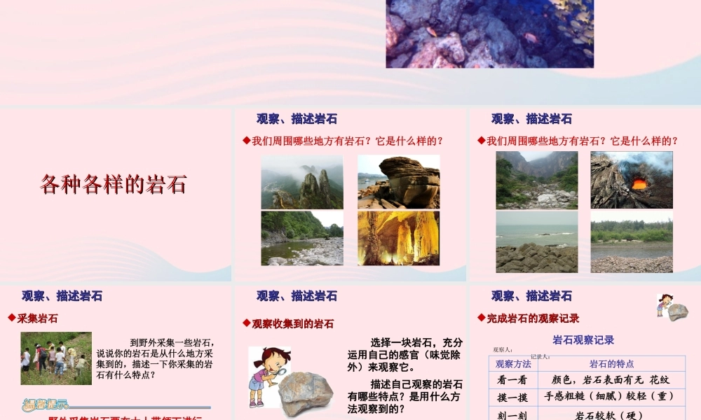 四年级科学下册 4 岩石和矿物 1 各种各样的岩石课件 教科版-教科版小学四年级下册自然科学课件