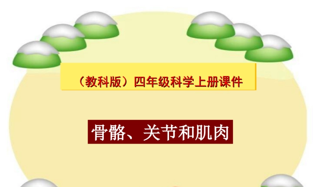 四年级科学上册 骨骼、关节和肌肉 3课件 教科版