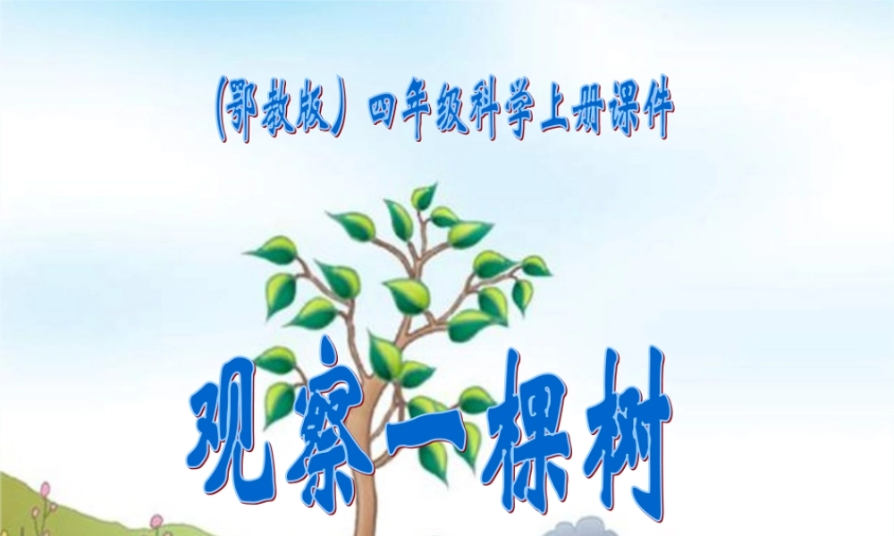 四年级科学上册 观察一棵树 1课件 鄂教版
