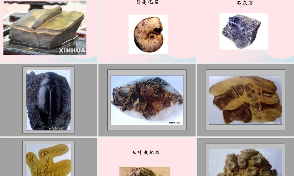 四年级科学下册 4 岩石和矿物 1 各种各样的岩石课件1 教科版-教科版小学四年级下册自然科学课件