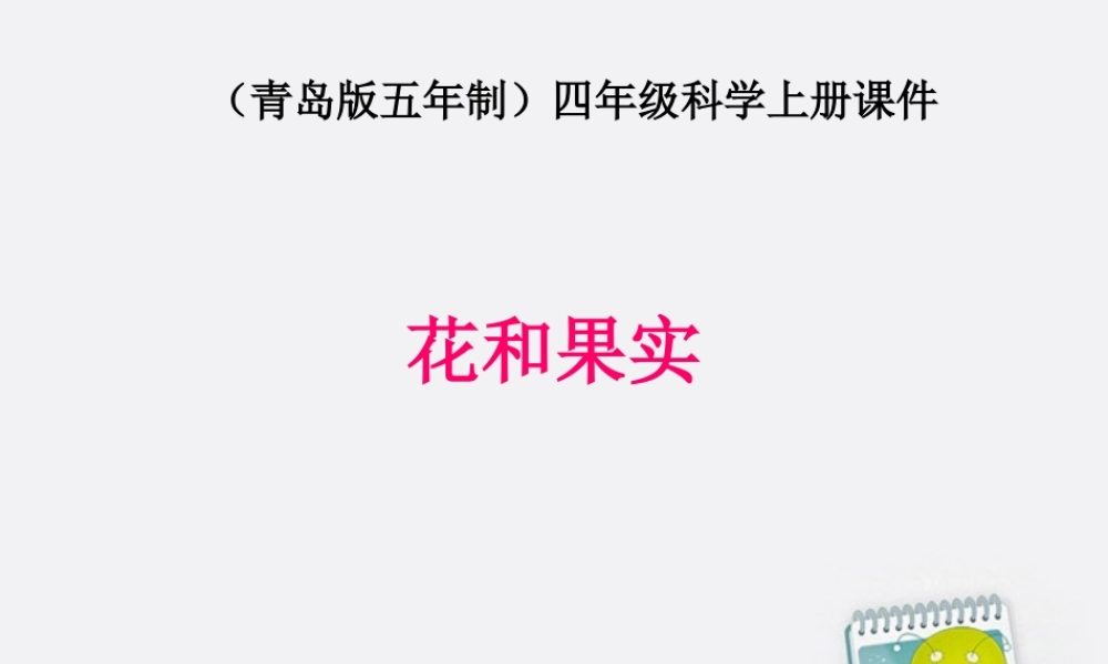 四年级科学上册 花和果实 2课件 青岛版五年制