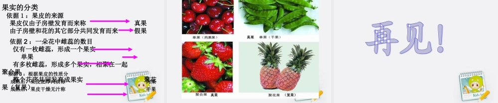 四年级科学上册 花和果实 2课件 青岛版五年制