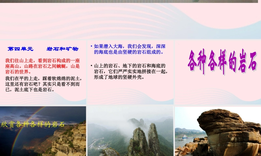 四年级科学下册 4 岩石和矿物 1《各种各样的岩石》课件 教科版-教科版小学四年级下册自然科学课件