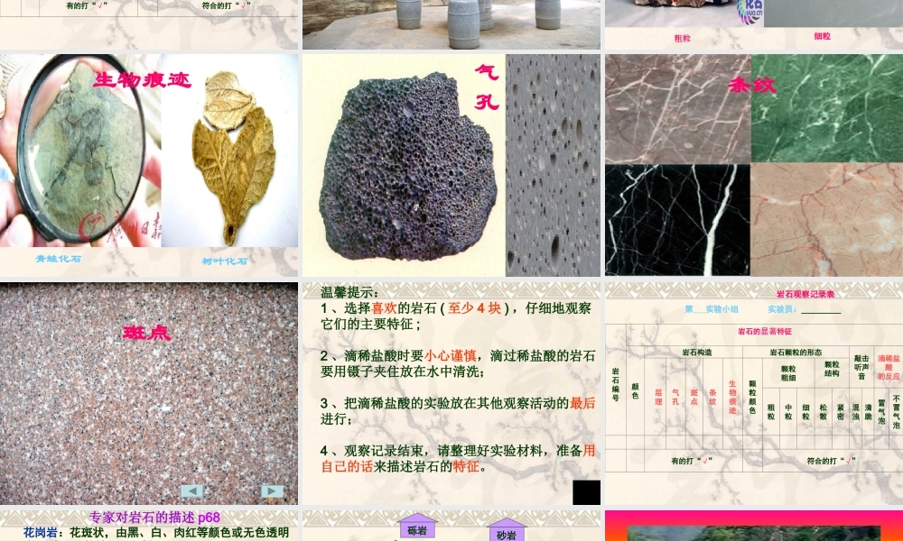 四年级科学下册 4 岩石和矿物 2 认识几种常见的岩石课件 教科版-教科版小学四年级下册自然科学课件