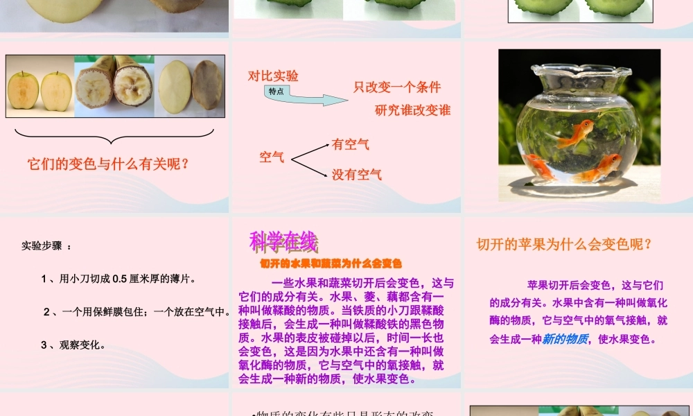 四年级科学下册 第五单元 有趣的变化 第21课《变色游戏》课件2 冀教版-冀教版小学四年级下册自然科学课件