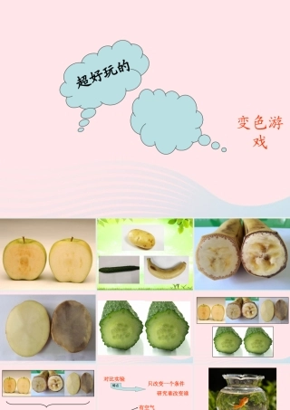 四年级科学下册 第五单元 有趣的变化 第21课《变色游戏》课件2 冀教版-冀教版小学四年级下册自然科学课件