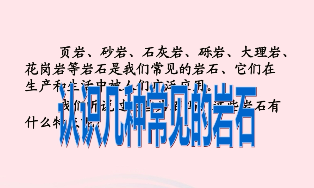 四年级科学下册 4 岩石和矿物 2 认识几种常见的岩石课件1 教科版-教科版小学四年级下册自然科学课件