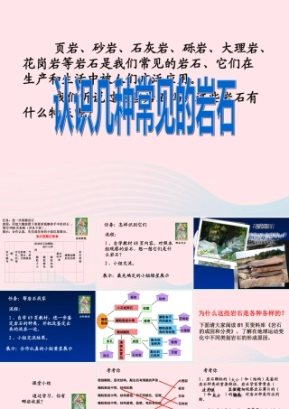 四年级科学下册 4 岩石和矿物 2 认识几种常见的岩石课件1 教科版-教科版小学四年级下册自然科学课件