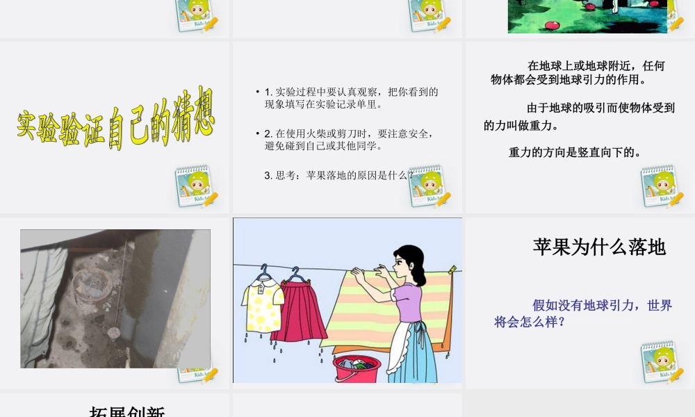 四年级科学上册 苹果为什么落地 2课件 青岛版五年制