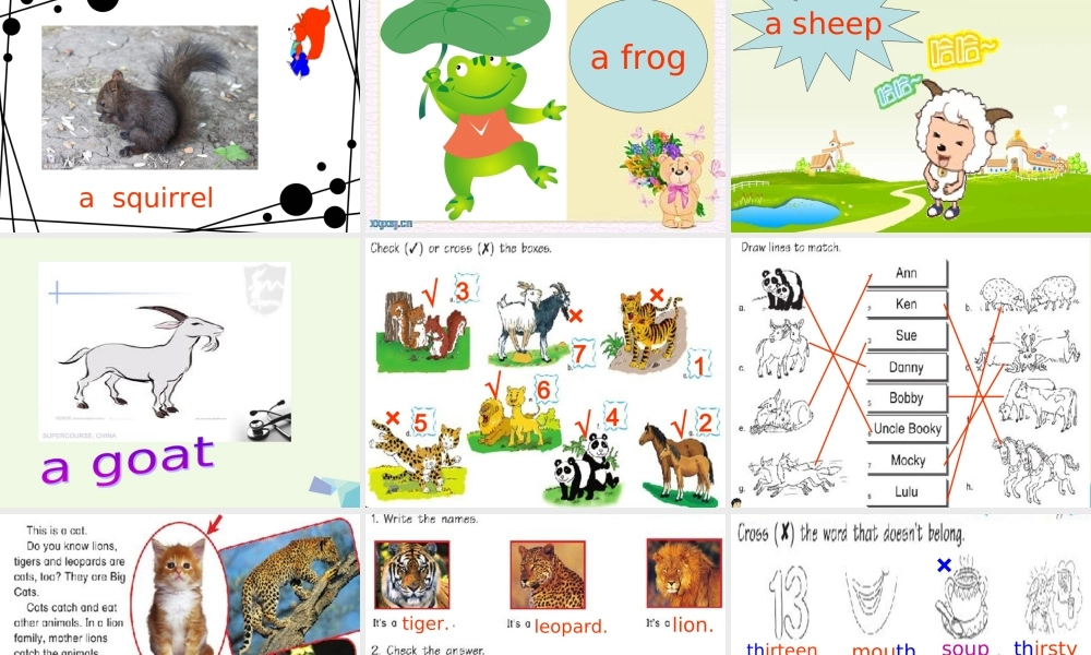 四年级英语上册 Unit 2 I like bobby课件 北师大版（一起）-北师大版小学四年级上册英语课件