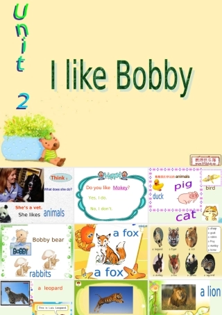 四年级英语上册 Unit 2 I like bobby课件 北师大版（一起）-北师大版小学四年级上册英语课件