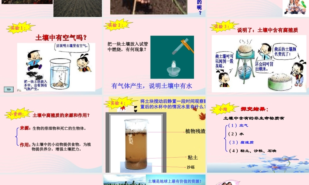 四年级科学下册 第一单元 第1课《认识土壤》课件1 鄂教版-鄂教版小学四年级下册自然科学课件