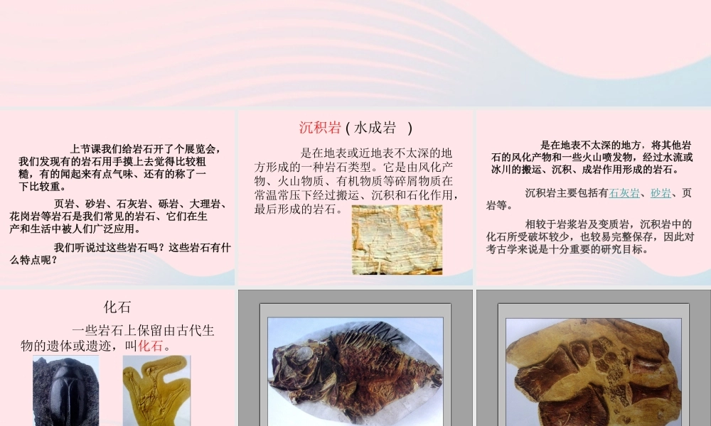 四年级科学下册 4 岩石和矿物 2 认识几种常见的岩石课件5 教科版-教科版小学四年级下册自然科学课件