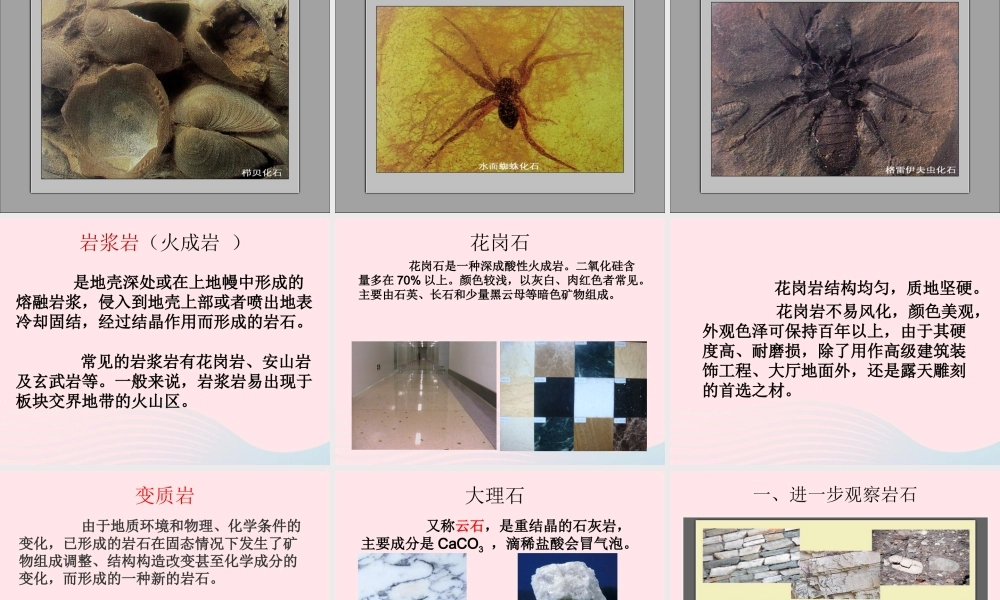 四年级科学下册 4 岩石和矿物 2 认识几种常见的岩石课件5 教科版-教科版小学四年级下册自然科学课件