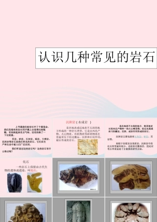 四年级科学下册 4 岩石和矿物 2 认识几种常见的岩石课件5 教科版-教科版小学四年级下册自然科学课件