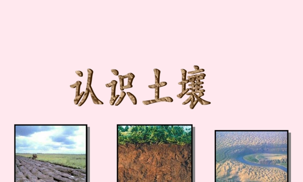 四年级科学下册 第一单元 第1课《认识土壤》课件2 鄂教版-鄂教版小学四年级下册自然科学课件