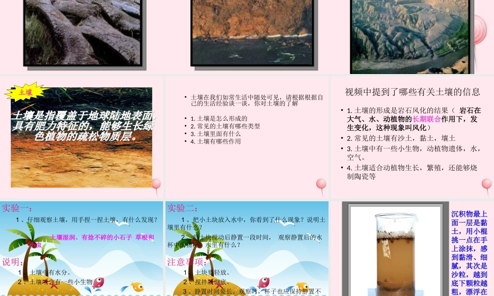 四年级科学下册 第一单元 第1课《认识土壤》课件2 鄂教版-鄂教版小学四年级下册自然科学课件