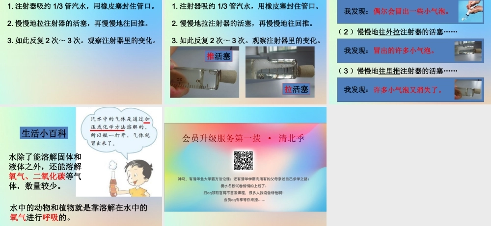 四年级科学上册 溶解 4不同物质在水中的溶解能力课件 教科版-教科版小学四年级上册自然科学课件