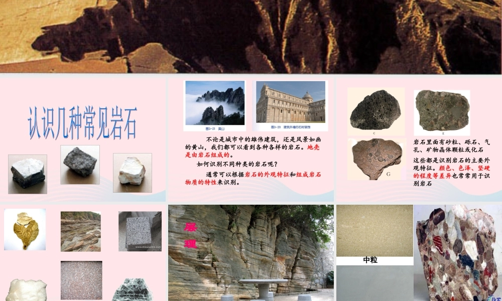 四年级科学下册 4 岩石和矿物 2 认识几种常见的岩石课件6 教科版-教科版小学四年级下册自然科学课件