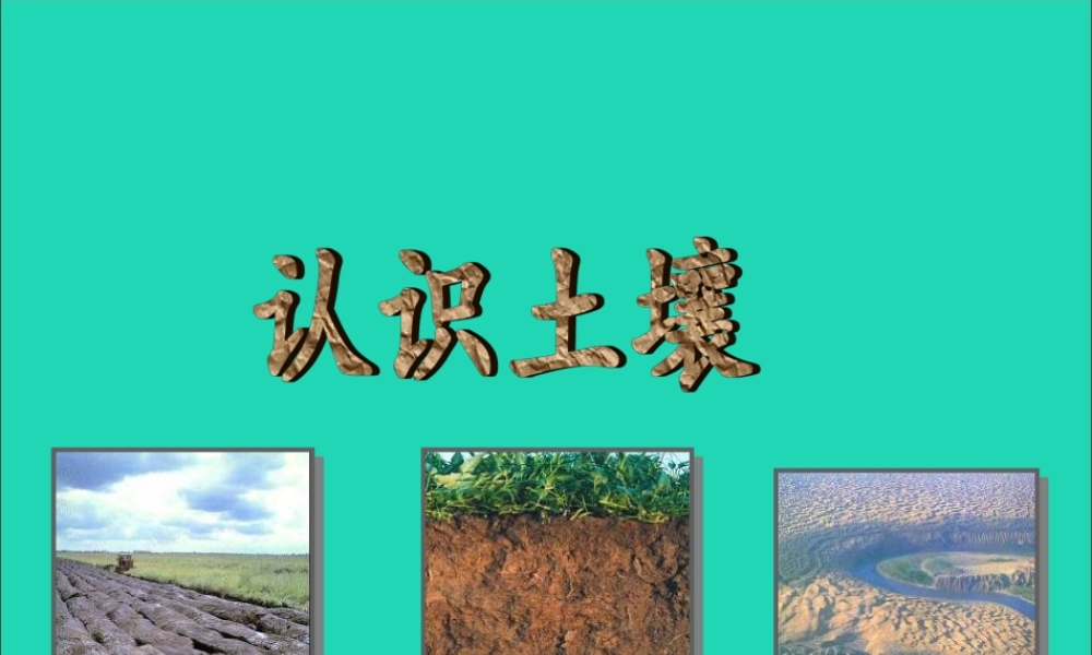四年级科学下册 第一单元 第1课《认识土壤》课件3 鄂教版-鄂教版小学四年级下册自然科学课件