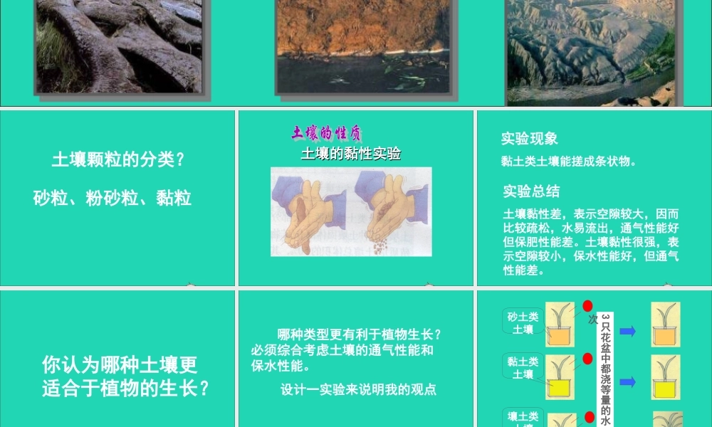 四年级科学下册 第一单元 第1课《认识土壤》课件3 鄂教版-鄂教版小学四年级下册自然科学课件