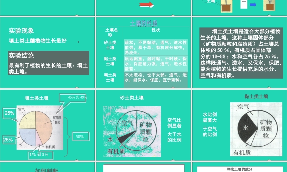 四年级科学下册 第一单元 第1课《认识土壤》课件3 鄂教版-鄂教版小学四年级下册自然科学课件