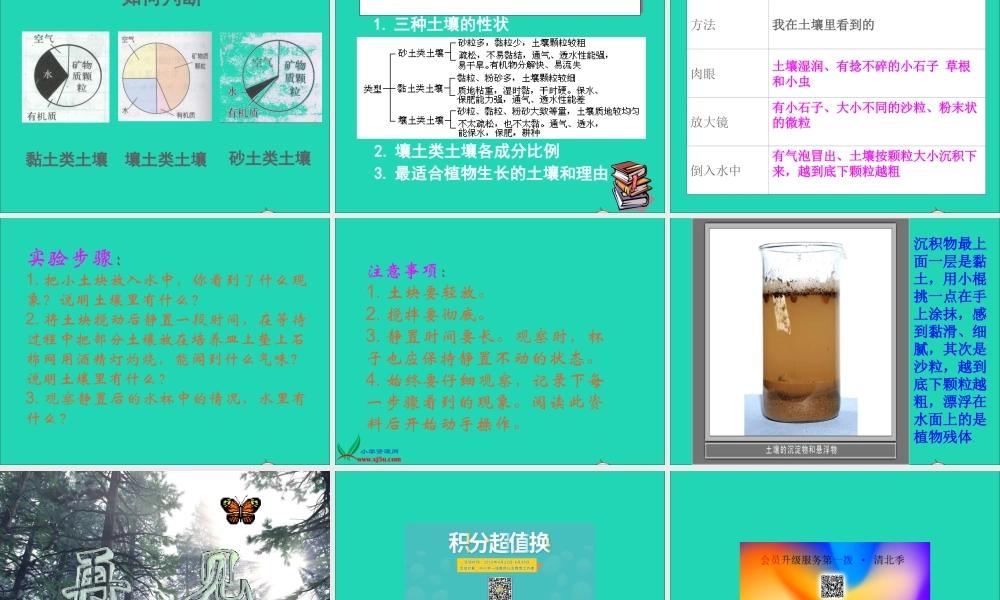 四年级科学下册 第一单元 第1课《认识土壤》课件3 鄂教版-鄂教版小学四年级下册自然科学课件