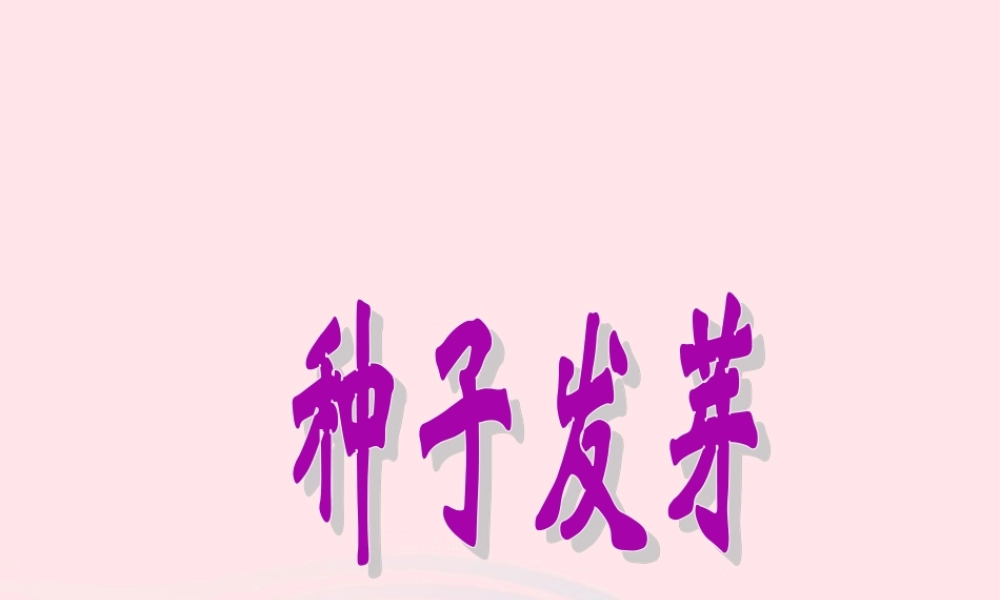 四年级科学下册 第一单元 第2课《种子发芽》课件1 鄂教版-鄂教版小学四年级下册自然科学课件