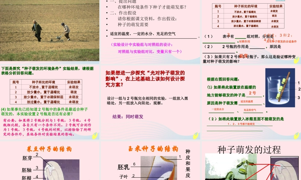 四年级科学下册 第一单元 第2课《种子发芽》课件1 鄂教版-鄂教版小学四年级下册自然科学课件