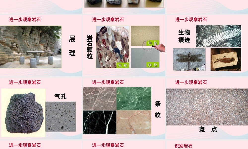 四年级科学下册 4 岩石和矿物 2 认识几种常见的岩石课件7 教科版-教科版小学四年级下册自然科学课件