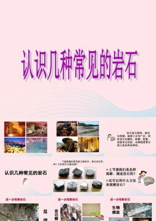 四年级科学下册 4 岩石和矿物 2 认识几种常见的岩石课件7 教科版-教科版小学四年级下册自然科学课件