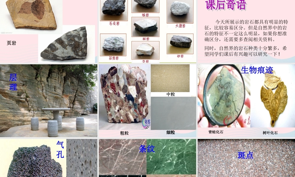 四年级科学下册 4 岩石和矿物 2《认识几种常见的岩石》课件 教科版-教科版小学四年级下册自然科学课件