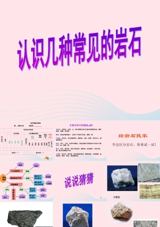 四年级科学下册 4 岩石和矿物 2《认识几种常见的岩石》课件 教科版-教科版小学四年级下册自然科学课件